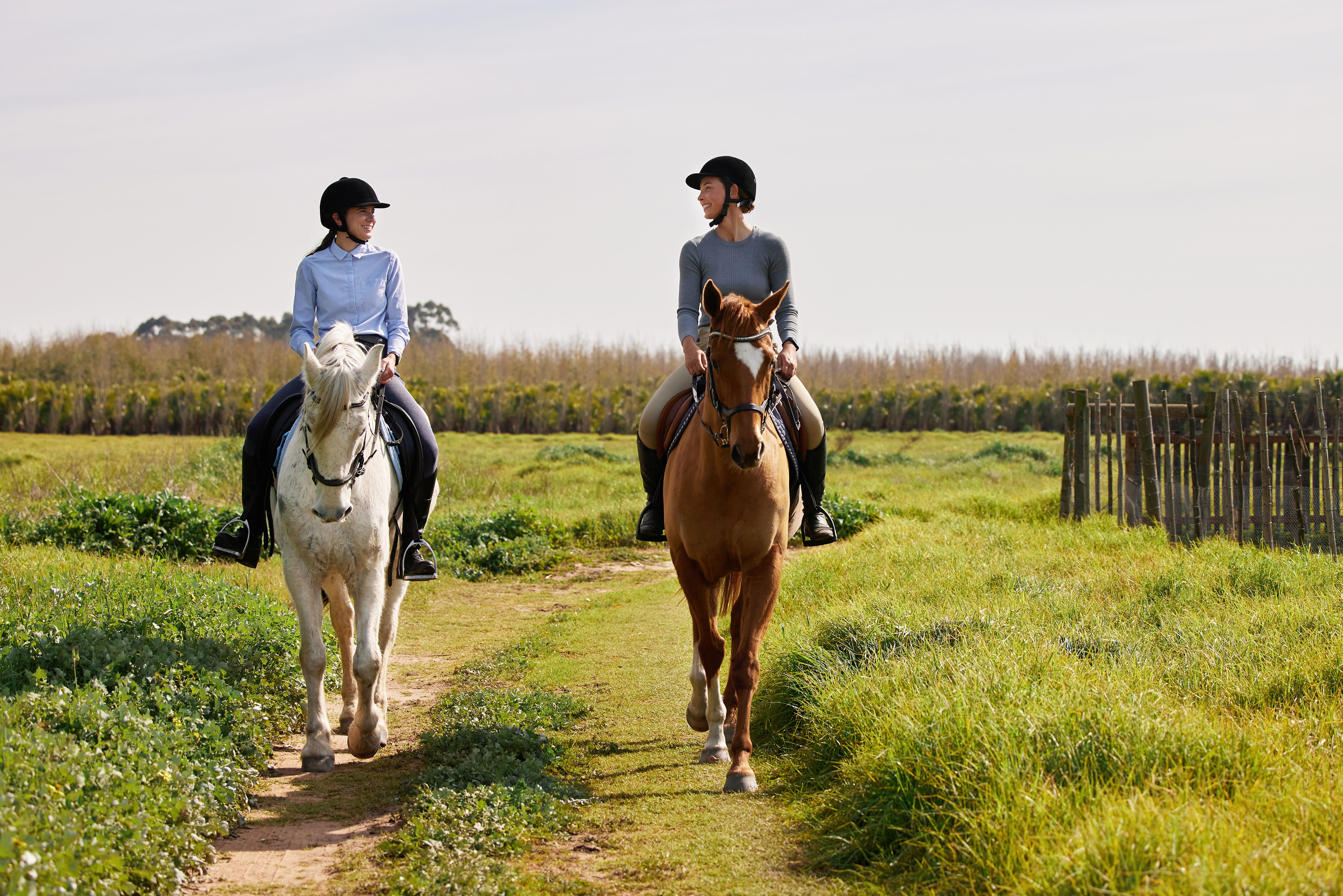 Zwei Reiterinnen reiten langsam und nebeneinander auf einem Feldweg.
